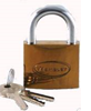 Candado WEMBLEY TITANIUM 25mm -6070